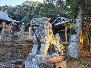 平清水八幡宮の参拝記録(飛成さん)