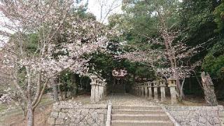日吉神社の参拝記録(ocelot7さん)
