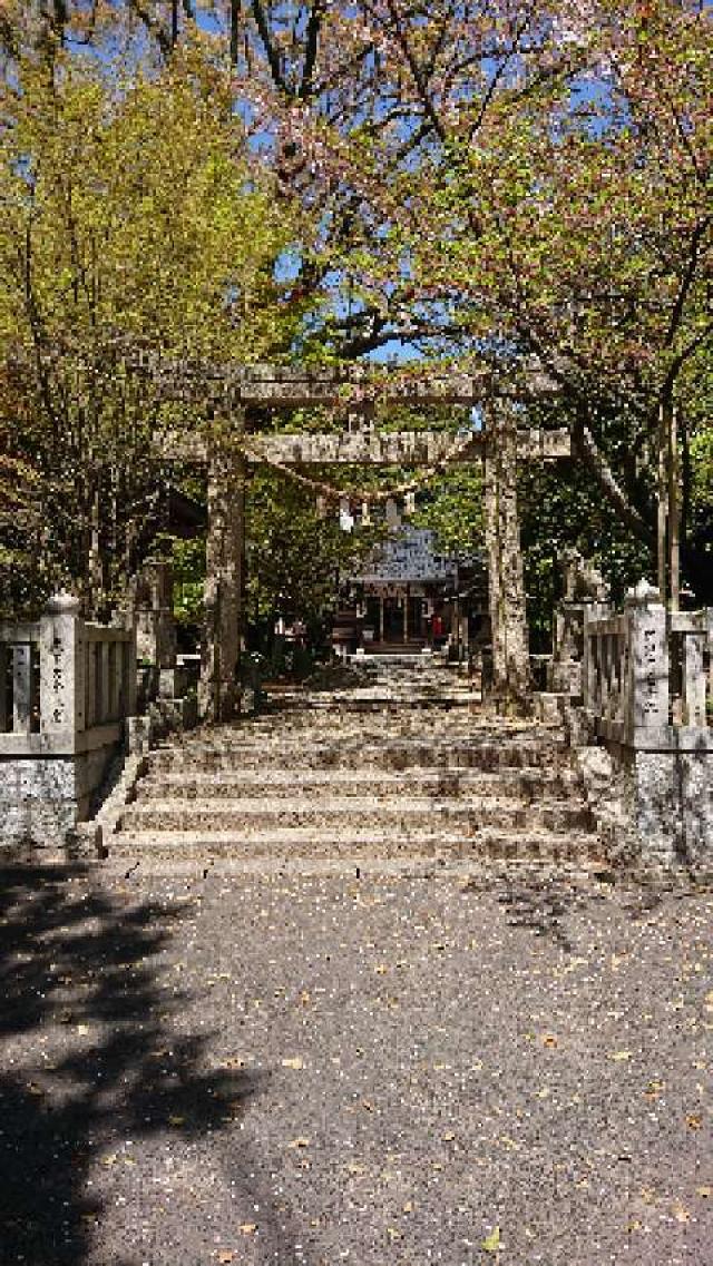 平原八幡宮の参拝記録5