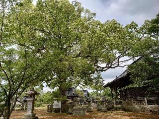 岡崎八幡宮の参拝記録(matsuyoshi49さん)
