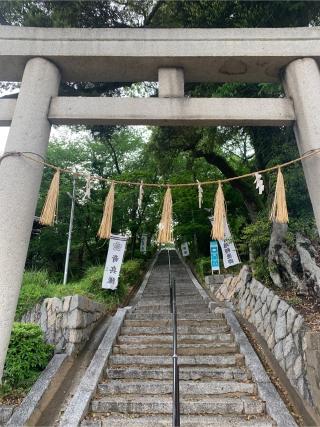 桜山神社の参拝記録(おかちゃんさん)