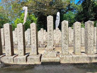 桜山神社の参拝記録(パンパースさん)