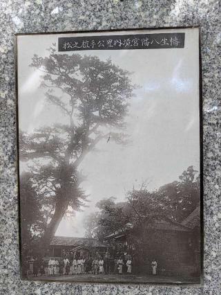 生野神社の参拝記録(こまいぬおさん)