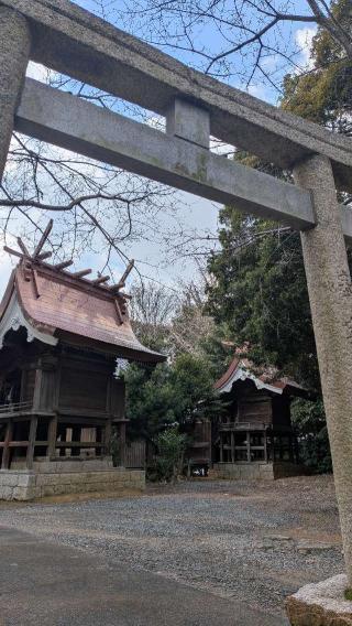 垢田八幡宮の参拝記録(こまいぬおさん)
