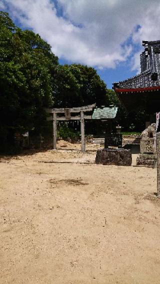 安岡八幡宮の参拝記録(菊凜さん)
