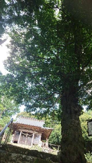 日幡神社の参拝記録(matsuyoshi49さん)