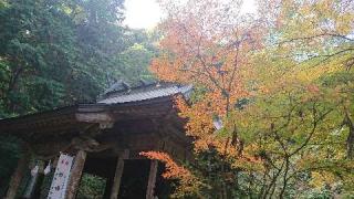 熊野神社の参拝記録(matsuyoshi49さん)