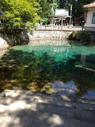 嚴島神社の参拝記録(くろろさん)