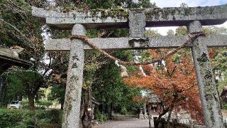 嚴島神社の参拝記録(matsuyoshi49さん)
