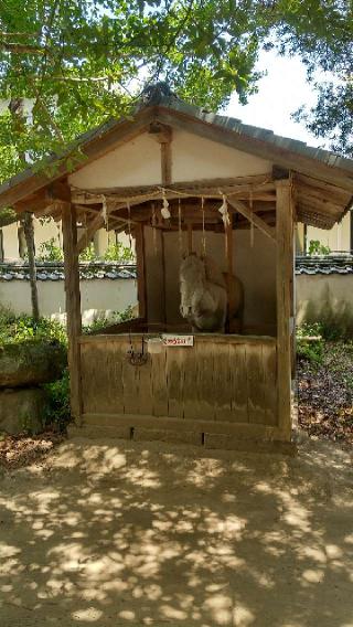 春日神社の参拝記録( いなりんさん)