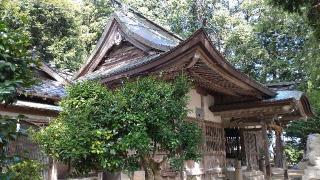 椿八幡宮の参拝記録(ひこさん)