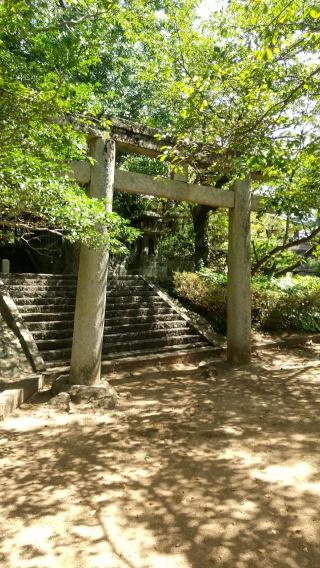 鶴江神明宮の参拝記録( いなりんさん)