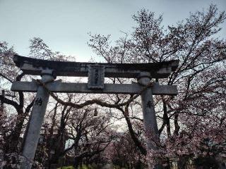 徳佐八幡宮の参拝記録( いなりんさん)