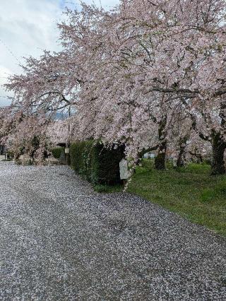 徳佐八幡宮の参拝記録(nekoさん)