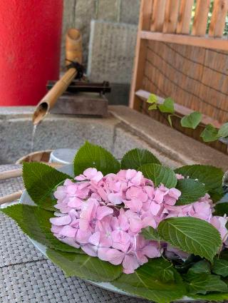 徳島眉山天神社の参拝記録(くみさん)