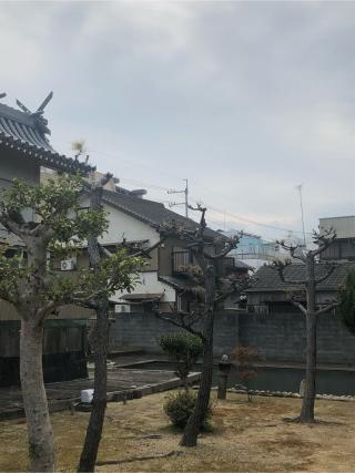 春日神社の参拝記録(フクタロウさん)