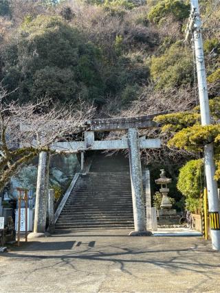 忌部神社の参拝記録(pariaさん)