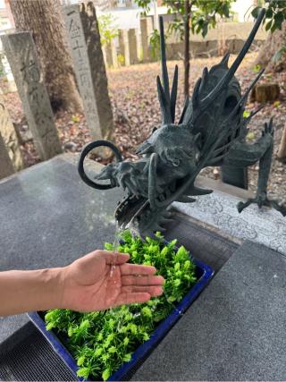 津田八幡神社の参拝記録(TAMさん)