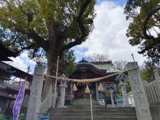 津田八幡神社の参拝記録(西口さん家のゆうじ君さん)