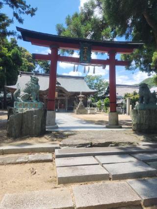 一宮神社の参拝記録(みっちゃんさん)