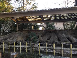宅宮神社の参拝記録(SCHUさん)