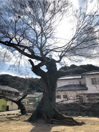草創神社の参拝記録(フクタロウさん)