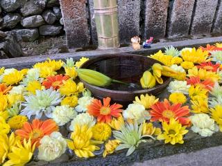 小倉八幡神社の参拝記録(えもさん)