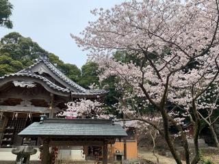 小倉八幡神社の参拝記録(えもさん)