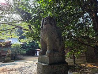 天石門別八倉比売神社の参拝記録(飛成さん)