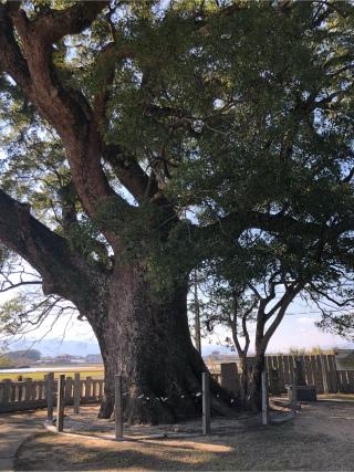 案内神社の参拝記録(フクタロウさん)