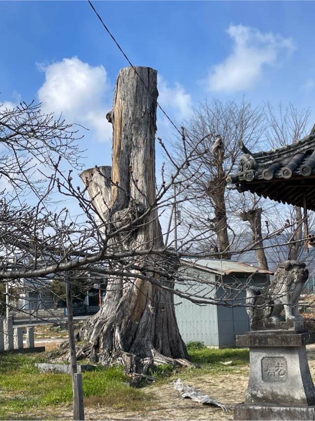 国都神社の写真1