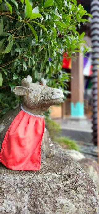 青苔山 法長寺の参拝記録(RUIさん)