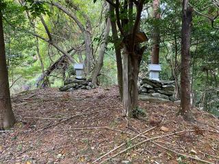 天岩戸別神社の参拝記録(みつをさん)