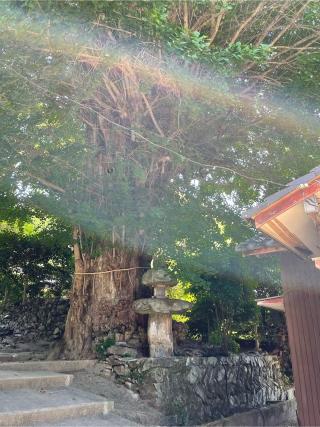 大宮八幡神社の参拝記録(フクタロウさん)