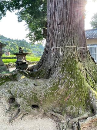 嵯峨天一神社の参拝記録(フクタロウさん)