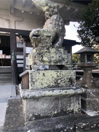 日峯神社（日峰神社）の参拝記録(フクタロウさん)