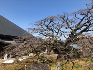 清泰山 西善寺の参拝記録(たかさん)