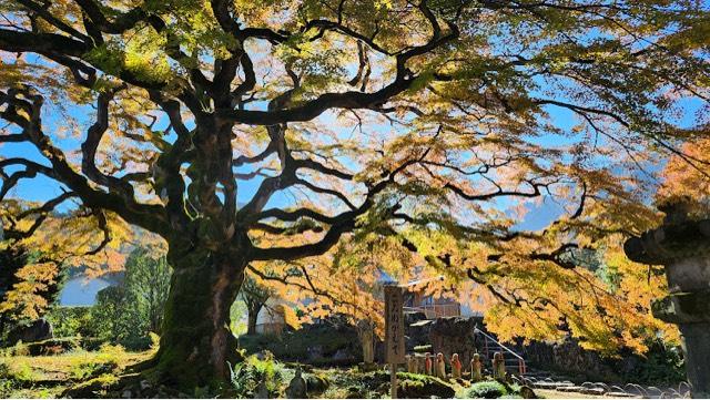 清泰山 西善寺の参拝記録8