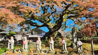 清泰山 西善寺の参拝記録(RUIさん)