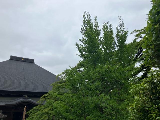 清泰山 西善寺の参拝記録7