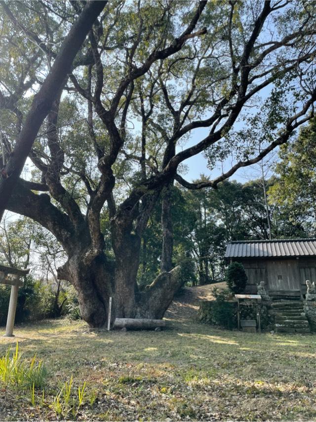 天満神社の写真1