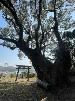 天満神社の参拝記録(フクタロウさん)