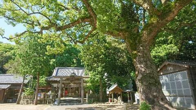 日和佐八幡神社の参拝記録10