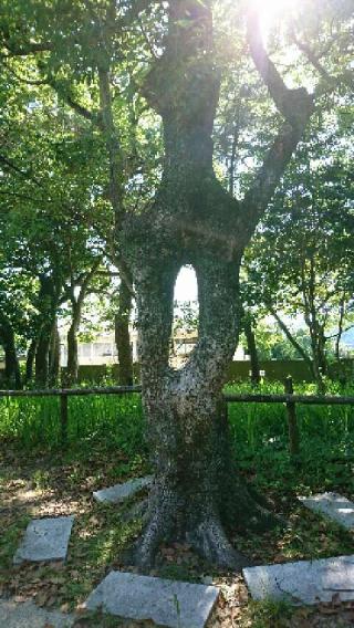 日和佐八幡神社の参拝記録(犬岡sarakoさん)