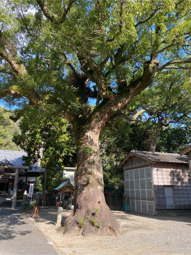 徳島県海部郡美波町日和佐浦369 日和佐八幡神社の写真7