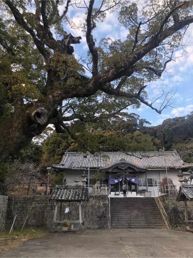 徳島県海部郡牟岐町牟岐浦字八幡山1 八幡神社の写真1