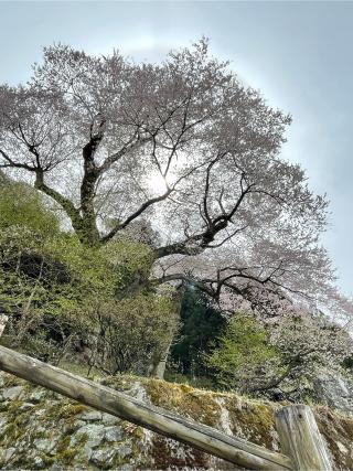 五所神社(忌部神社摂社、奥社)の参拝記録(フクタロウさん)