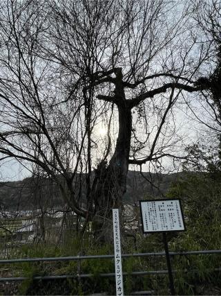 建神社の参拝記録(フクタロウさん)