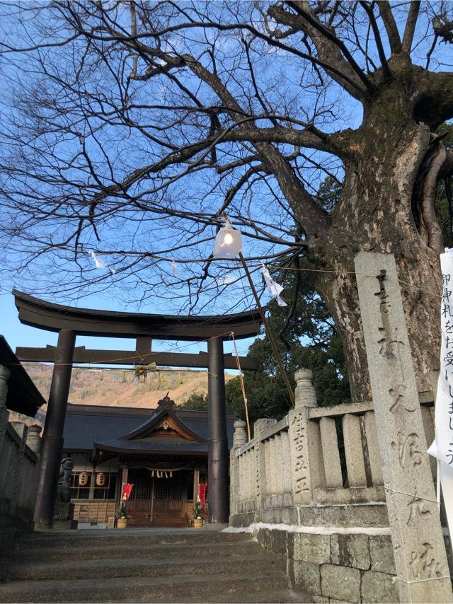 医家神社の写真1