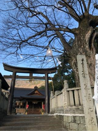 医家神社の参拝記録(フクタロウさん)